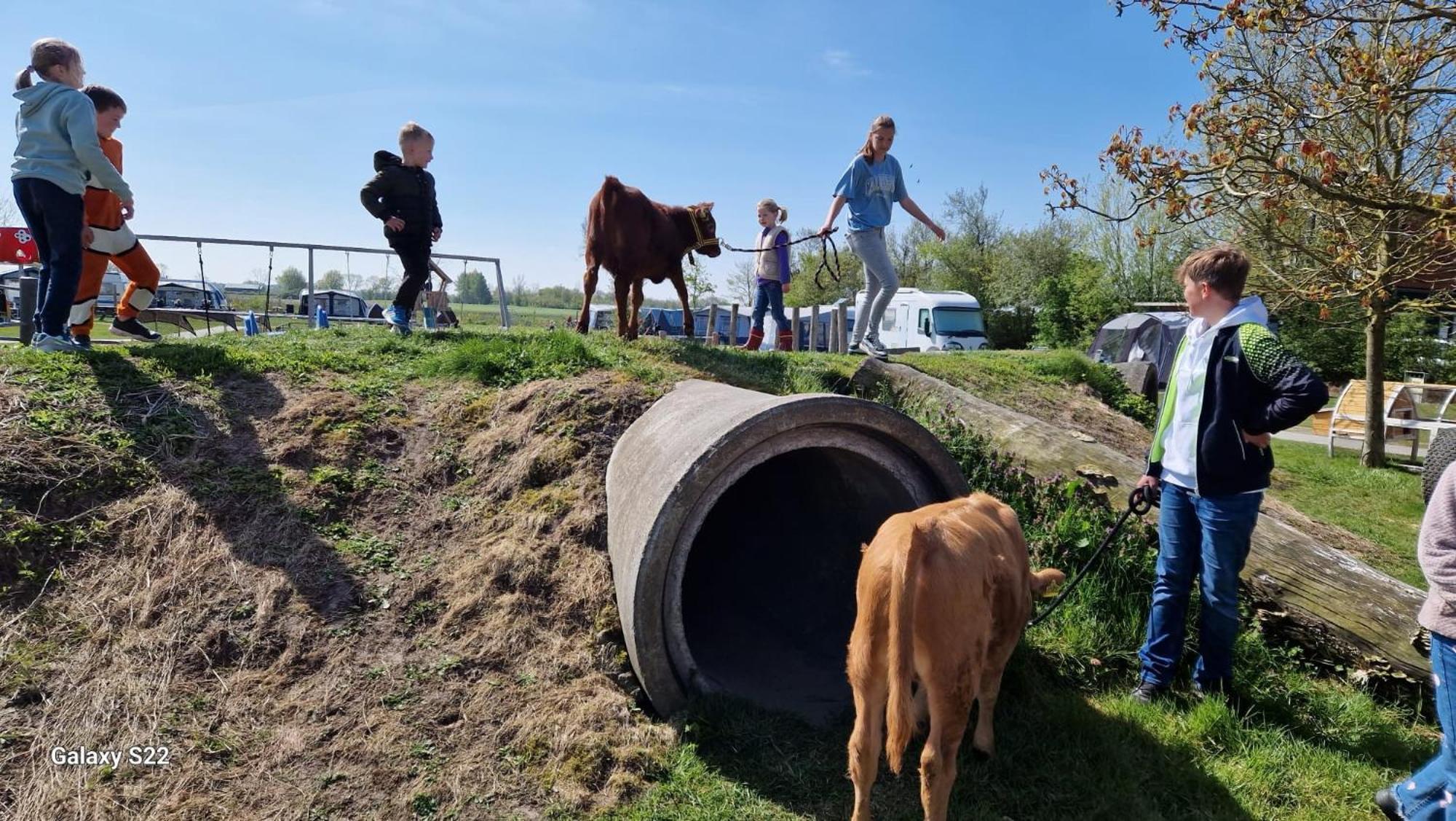 De Broodkist Villa Koudekerke Bagian luar foto