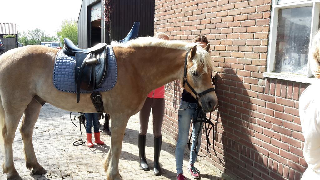 De Broodkist Villa Koudekerke Bagian luar foto